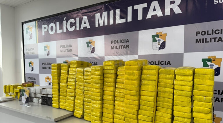 Segurança Pública apreende seis toneladas de drogas durante 2024