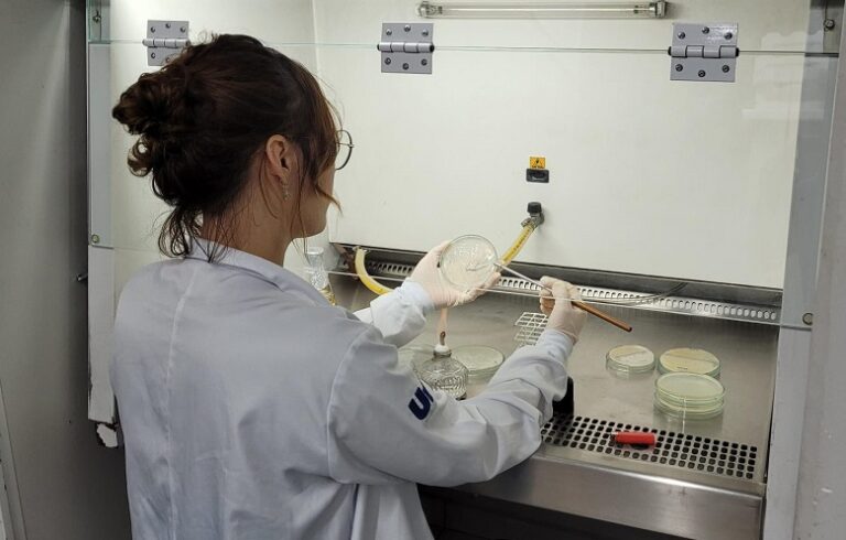 Bactérias no combate ao câncer? Estudo aponta novos caminhos para tratamentos
