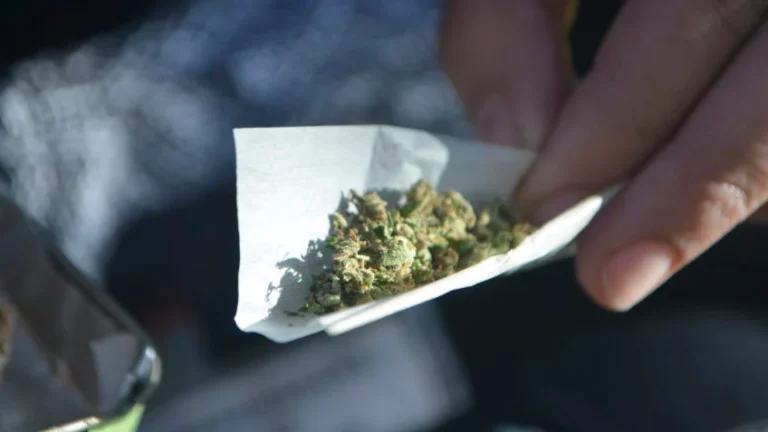 STF mantém decisão sobre porte de maconha para uso pessoal
