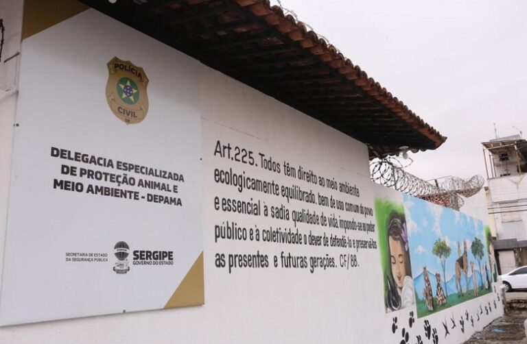 Irmãos abandonam gato em Parque e acabam indiciados por maus-tratos a animais