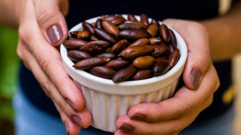 Confira os benefícios do baru e de outras castanhas brasileiras para a saúde