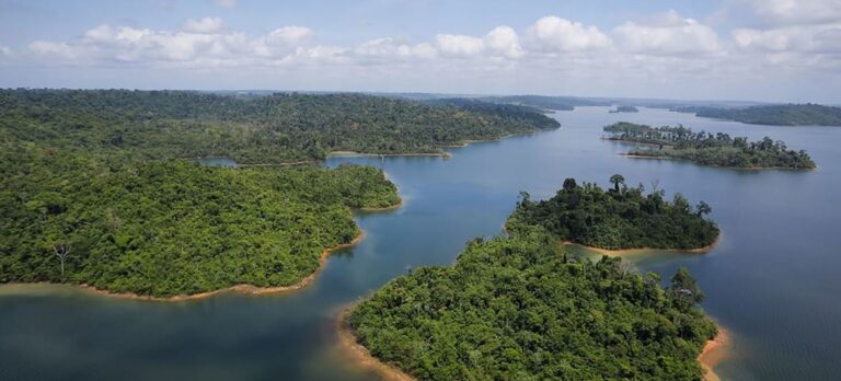 COP30 será marco na governança climática, declara embaixador