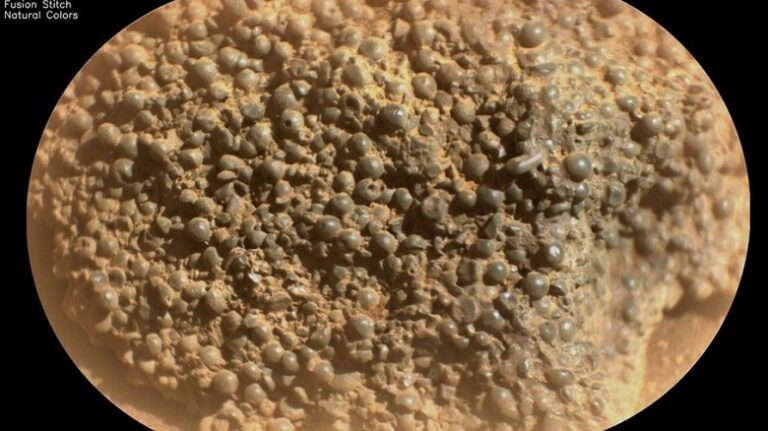 Cientistas encontram “jabuticabas” em Marte