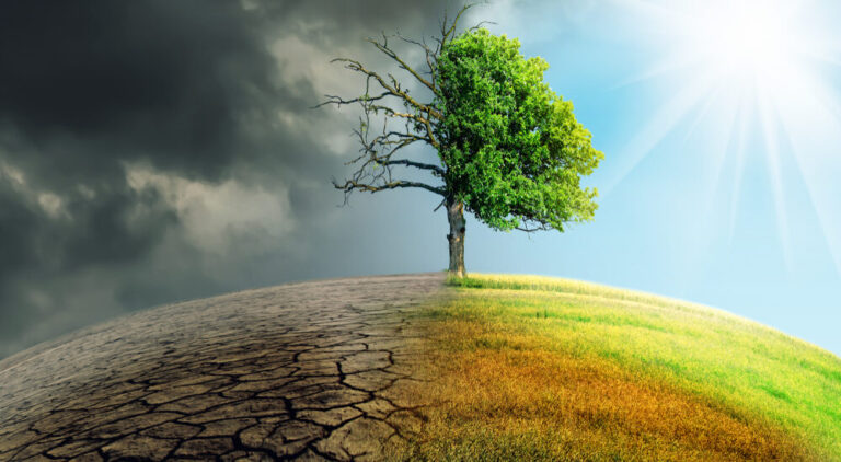 Quase 90% da população mundial é favorável a ações contra crise climática; Brasil lidera movimento global