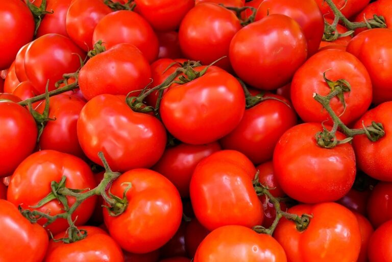 Entenda a importância do licopeno, presente no tomate, no combate ao câncer