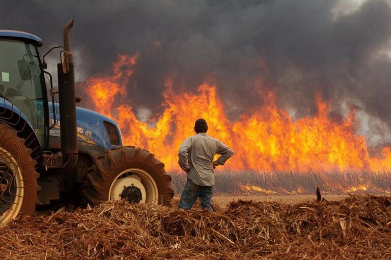STF determina que União desaproprie terras que são alvo de incêndio ou desmatamento ilegal