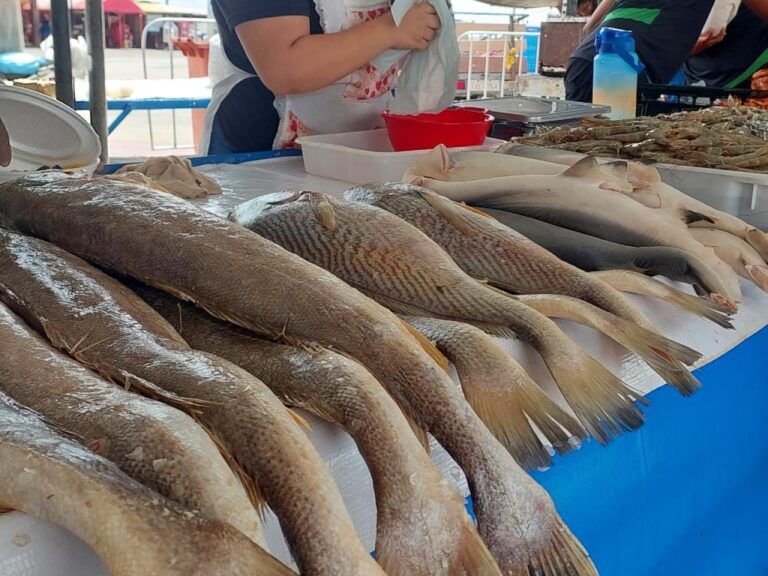 Em Aracaju, Vigilância Sanitária orienta população sobre cuidados com pescados na Semana Santa