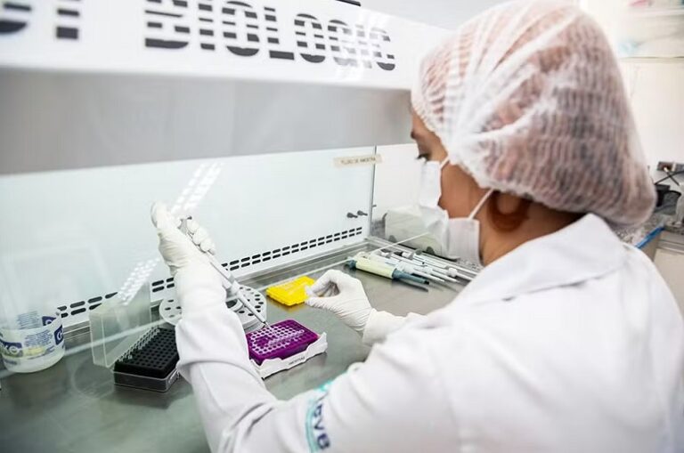 Anvisa aprova registro de vacina contra chikungunya desenvolvida pelo Instituto Butantan