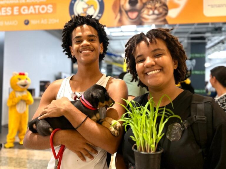 Aju Animal: Campanha de Adoção bate recorde e garante novos lares para 41 animais