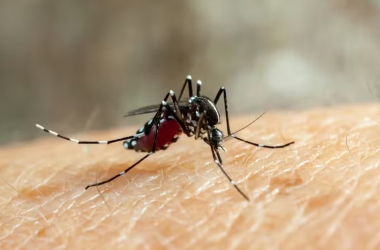 Quarta morte por dengue é confirmada em Sergipe