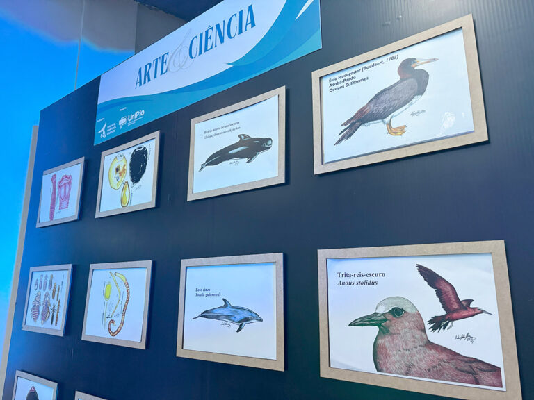 Semana do Meio Ambiente segue até sexta-feira, 6 de junho