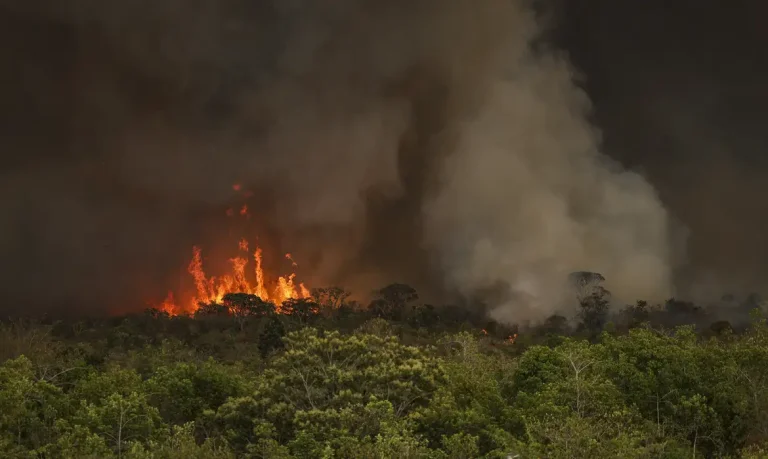 Queimadas fazem desmatamento crescer 92% na Amazônia