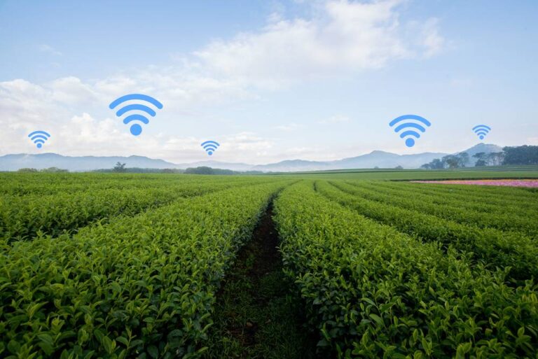 Grandes produtores e empresas do agro fomentam avanço da cobertura de internet no campo