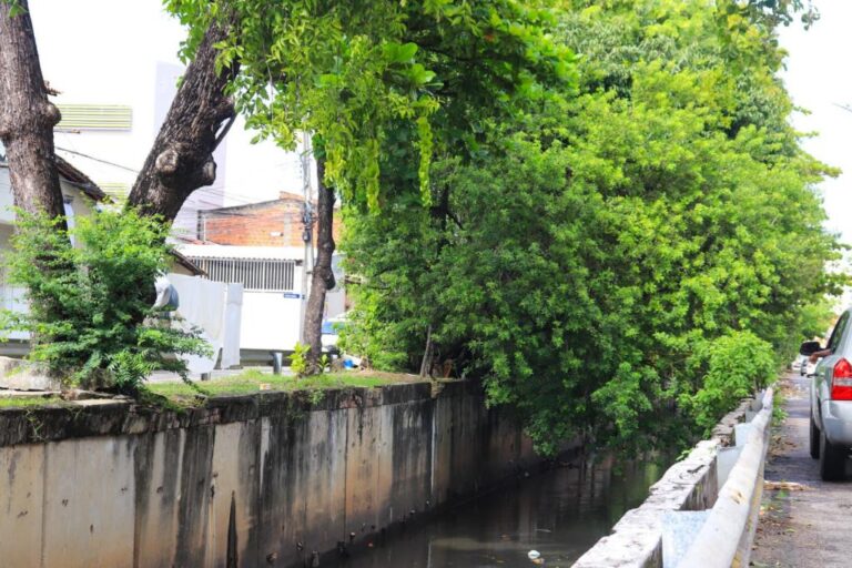 Após queda de árvores, Prefeitura de Aracaju reúne técnicos e planeja melhorias no canal da Avenida Francisco Moreira
