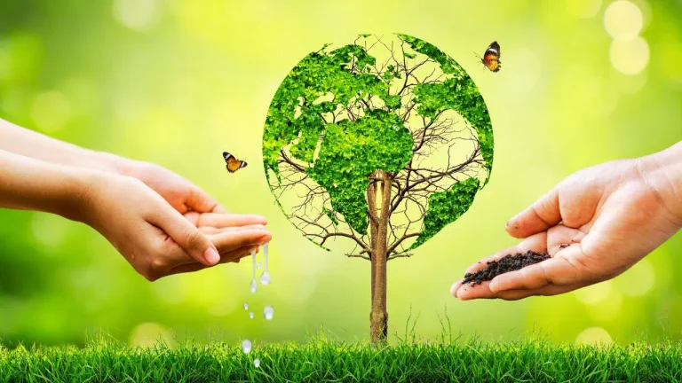 Adaptação climática: como COP30 pode acelerar resposta a objetivo global