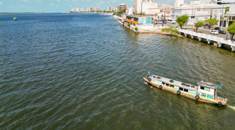 Expedição de tototó marca Dia Mundial de Proteção aos Manguezais em Sergipe