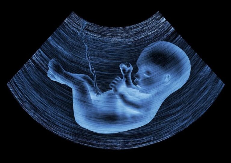Pesquisa aponta aumento no número de brasileiros contrários ao aborto