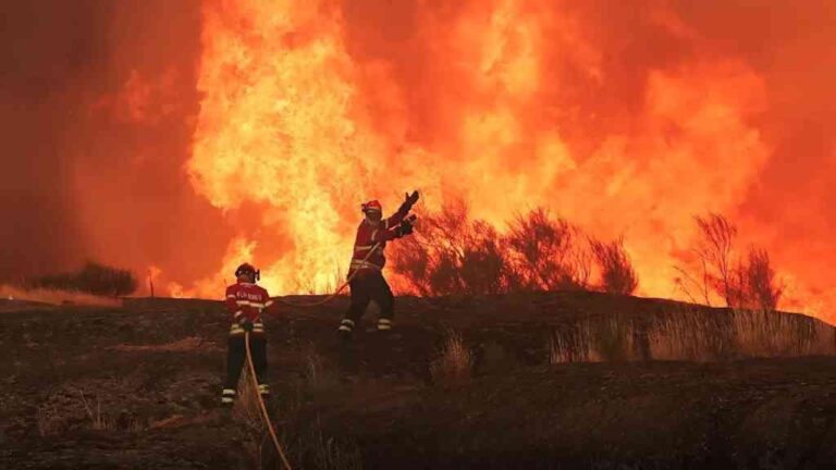 Em 2025, União Europeia registra recorde de mais de um milhão de hectares queimados em incêndios