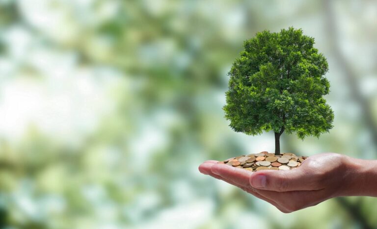 Saiba como Brasil pode liderar transição global para uma economia de baixo carbono