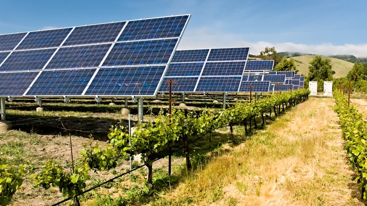 Câmara dos Deputados aprova projeto que facilita crédito para agricultores familiares investirem em energia solar