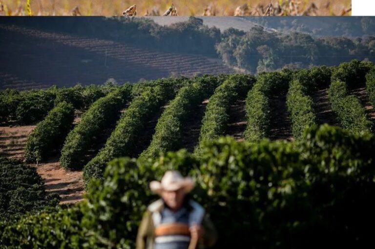 Deputado democrata dos EUA vai propor projeto para revogar tarifas ao café