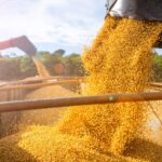 Soja brasileira registra queda de 1,53% em um único dia
