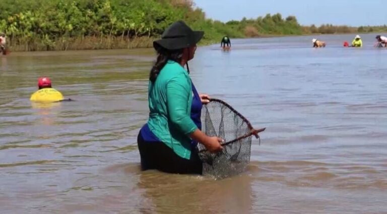 Sergipe conta oficialmente com Dia Estadual da Mulher Marisqueira