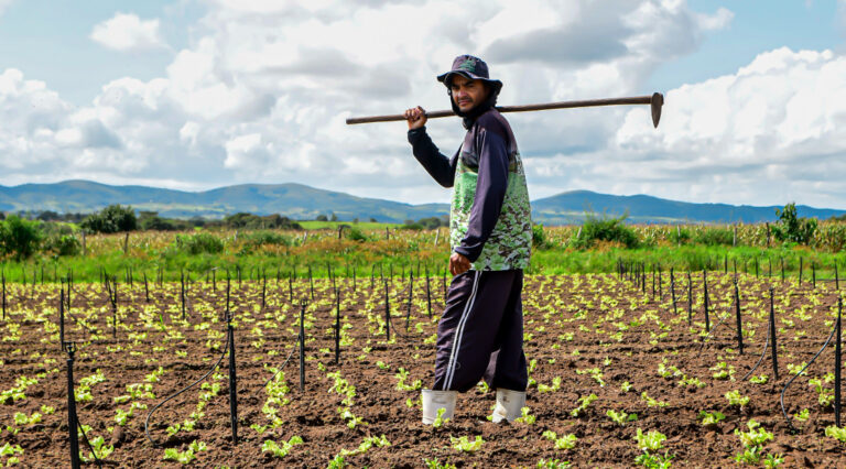 Em Sergipe, lei institui Semana Estadual do Campo Limpo e Sustentável
