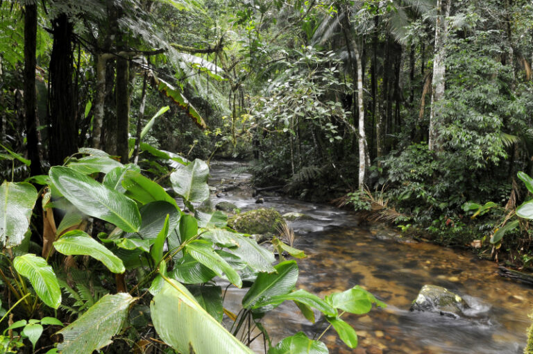 TCU aponta para problema em governança e gestão de risco climático no Brasil