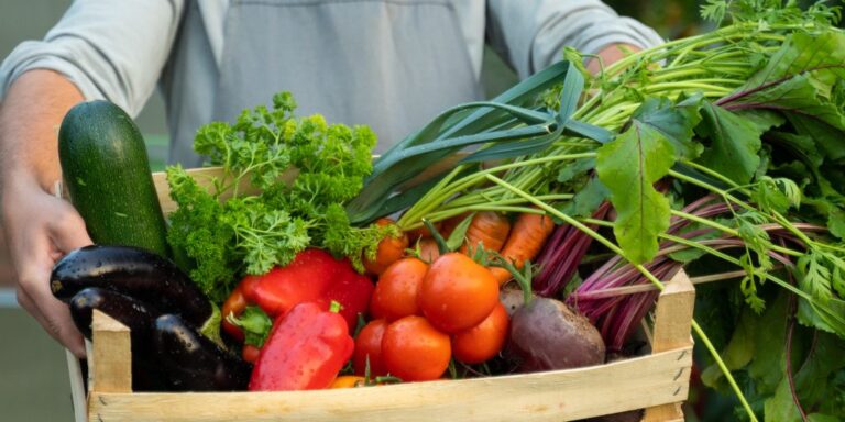 Segurança alimentar: municípios brasileiros mais carentes terão prioridade no recebimento de recursos públicos