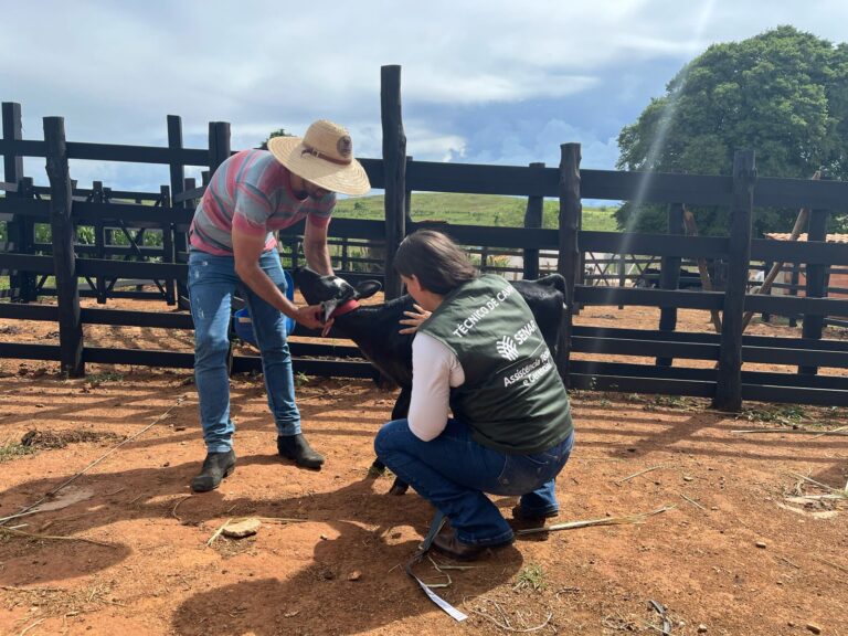 Senar Sergipe oferece experiência prática no campo com bolsas de até R$ 2,5 mil para recém-formados