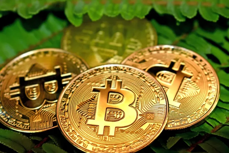 Energia limpa atrai mineradores de criptomoedas ao Brasil