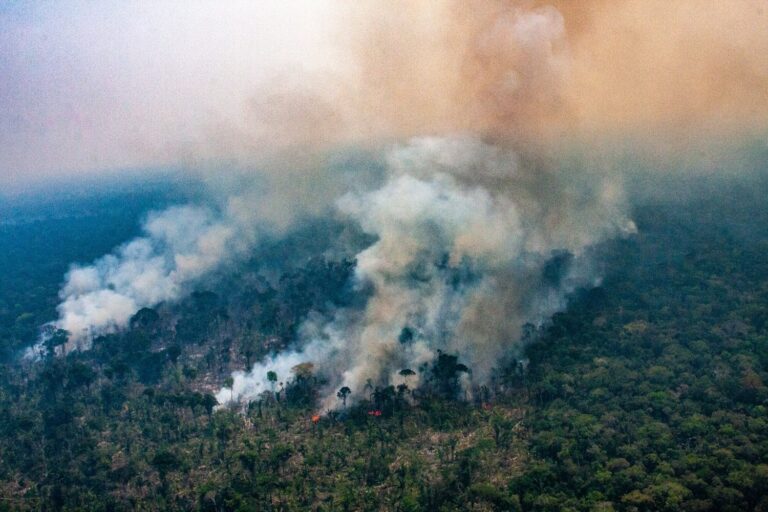No Brasil, área queimada chega a 4,23 milhões de hectares em 2025