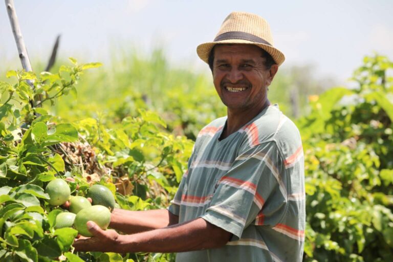 Lei que amplia acesso de agricultores familiares ao Garantia-Safra é sancionada