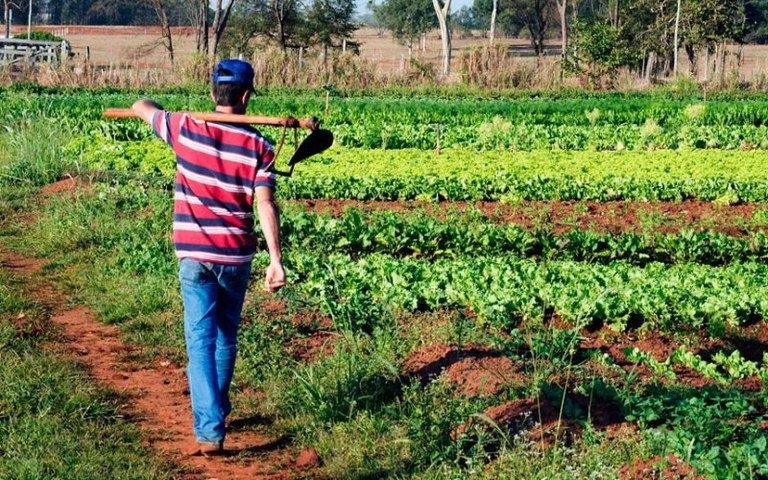 Desenrola Rural: renegociação de dívidas ultrapassa R$ 11,9 bilhões