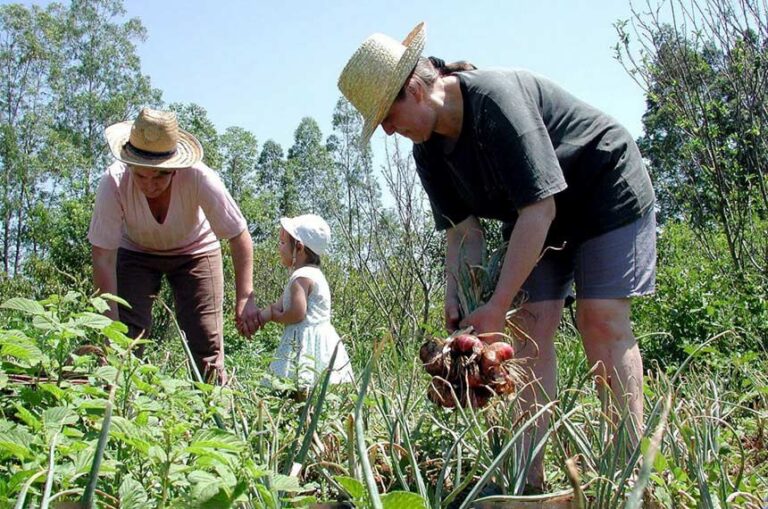 Lula sanciona lei que consolida Pronaf, Plano Safra, além do aumento de produtos da agricultura familiar na merenda escolar