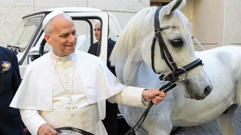 Papa Leão XIV ganha cavalo árabe puro-sangue de polonês e fica ‘encantado’