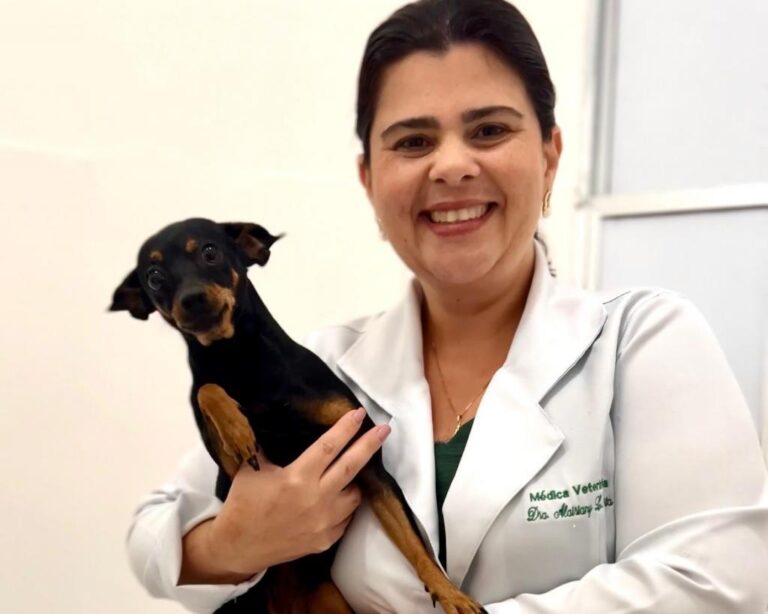 Na capital sergipana, programa Aju Animal retoma serviços com novas clínicas credenciadas
