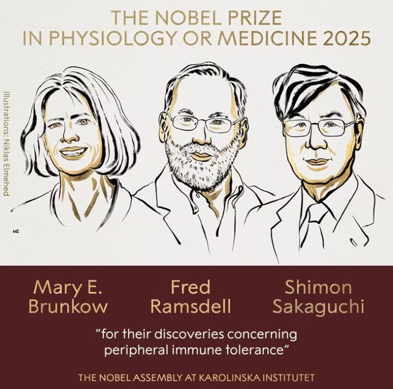 Cientistas com estudo sobre controle de imunologia vencem Nobel de Medicina