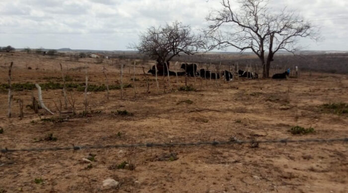 Boletim alerta para avanço da seca e risco de incêndios em Sergipe