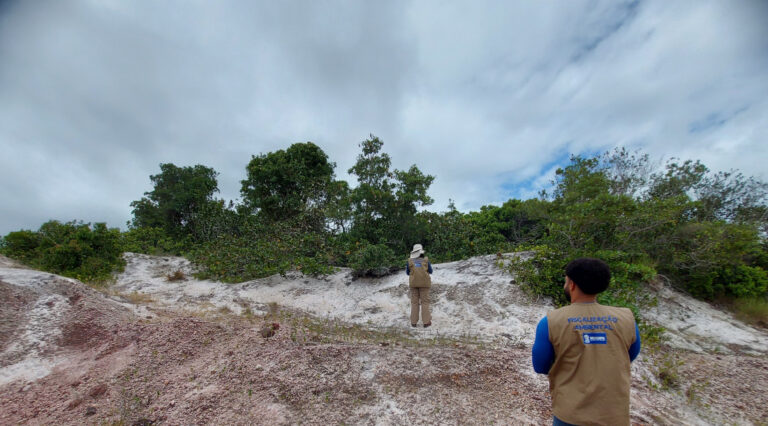 Adema flagra extração de areia irregular em área de Mata Atlântica em Japoatã
