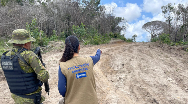 Em Sergipe, Adema autua mais de 30 propriedades por supressão ilegal de vegetação durante Operação Mata Atlântica em Pé