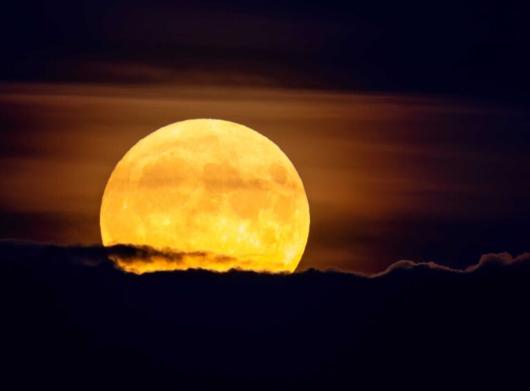 Primeira Superlua de 2025 pode ser contemplada a partir desta terça-feira (7)
