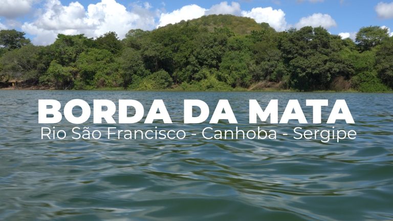 COP30: Ministério Público de Sergipe realiza, nesta quinta-feira (20), pré-estreia de documentário sobre recuperação da Mata Ciliar do Rio São Francisco