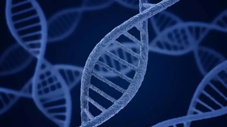 Fibrose cística: uma doença hereditária que afeta pulmões e digestão