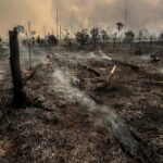Distribuidoras de energia alertam para queimadas
