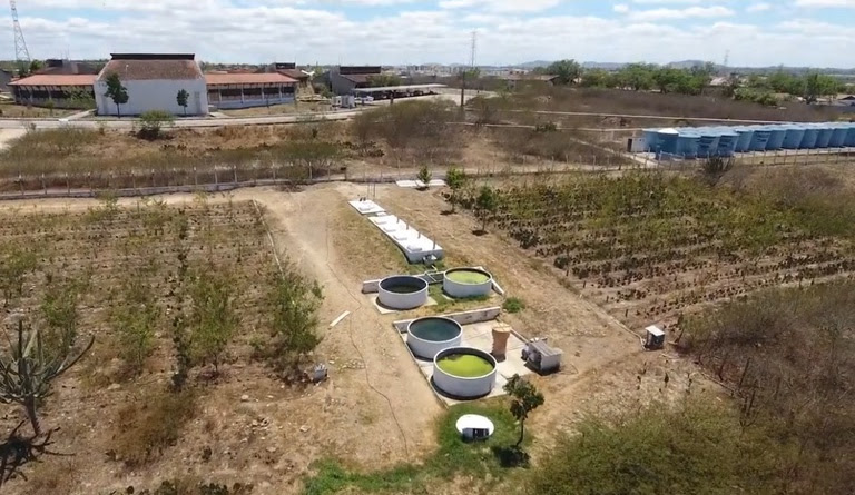 Tecnologia transforma esgoto em água para produzir alimentos no Semiárido