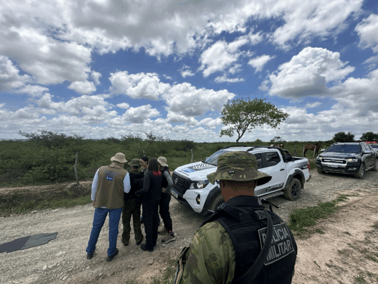 Operação Caatinga Resiste autua mais de 10 mil hectares de desmatamento ilegal em nove estados