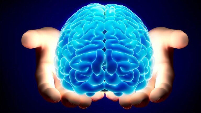 Alzheimer: saiba mais sobre medicamento experimental em animais que reverte perda de memória causada por doença