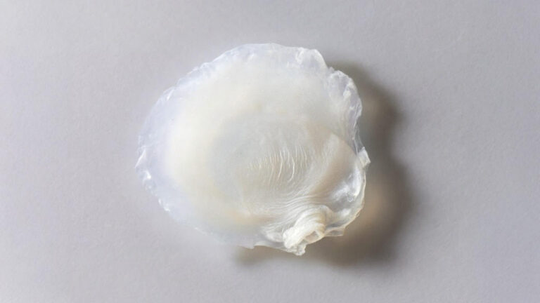 Avon desenvolve primeira pele bioimpressa em laboratório que reproduz efeitos da menopausa